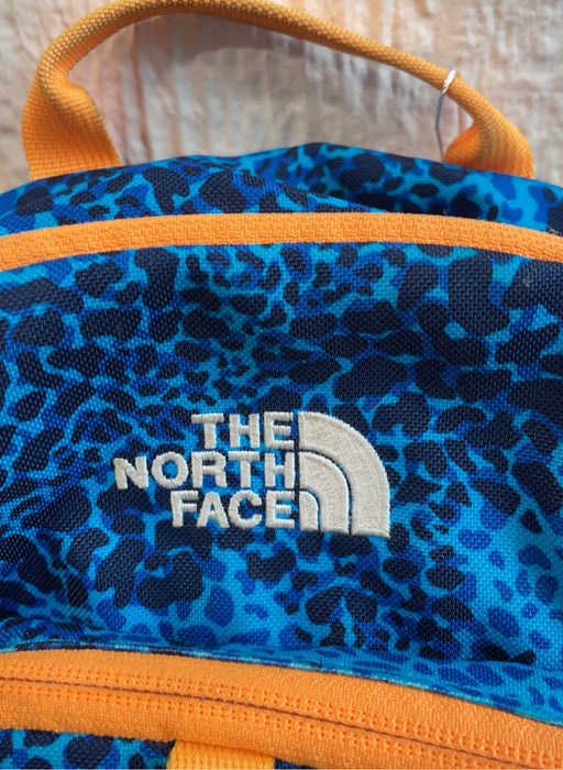 secondhand North Face Sprout Toddler Backpack