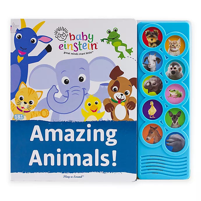 used Baby Einstein Play A Sound Book