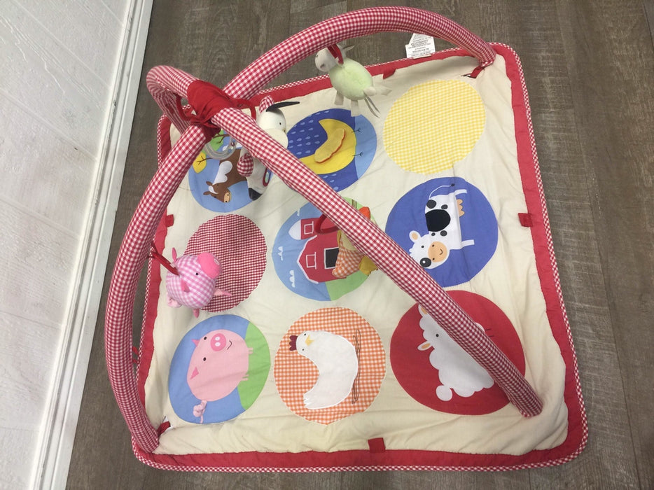 secondhand Skip Hop for Pottery Barn Playmat