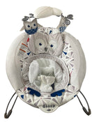 secondhand Fisher Price Deluxe Bouncer, Owl Love You 