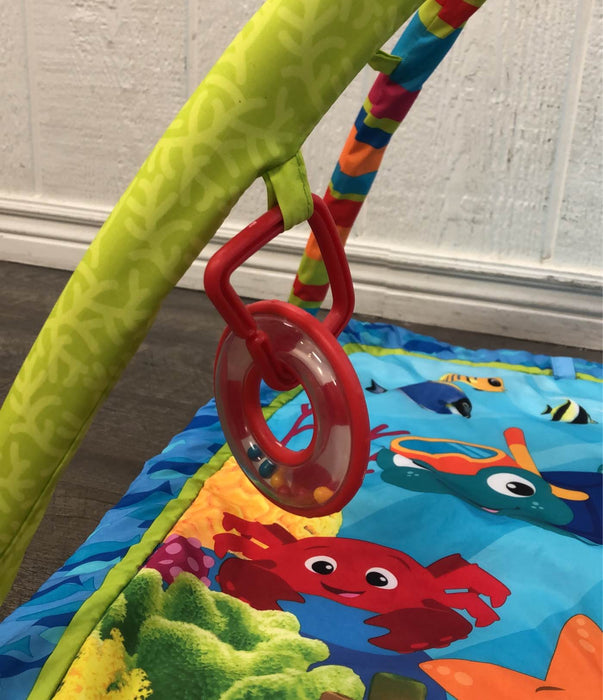 used Baby Einstein Play Gym