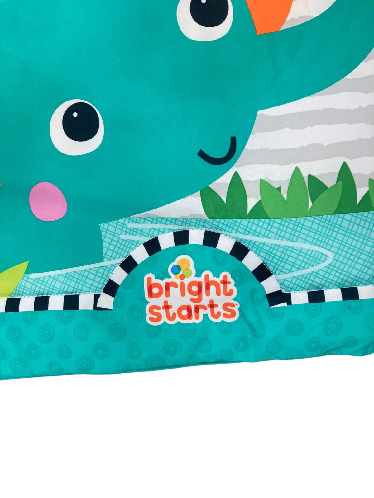 Bright Starts Activity Gym, Zig Zag Safari — GoodBuy Gear