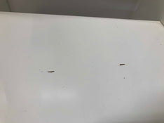 secondhand Potty Training