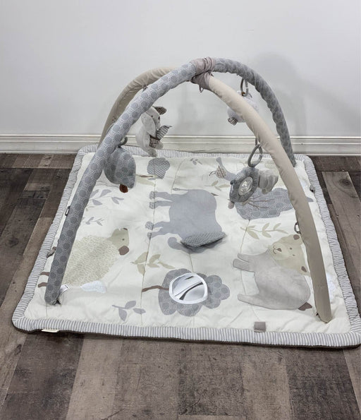 secondhand Pottery Barn Kids Animal Friends Classic Activity Gym