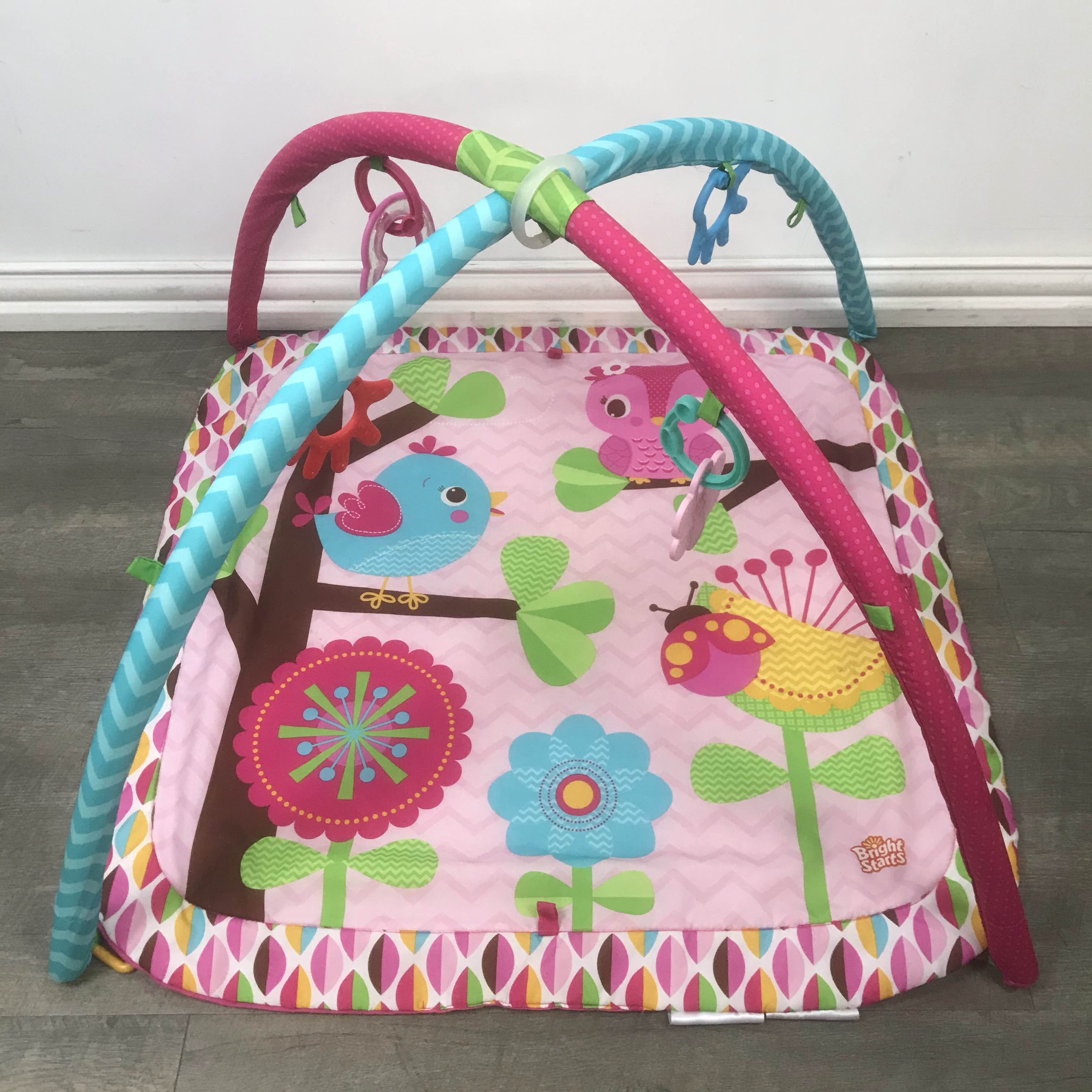 Charming chirps clearance activity gym