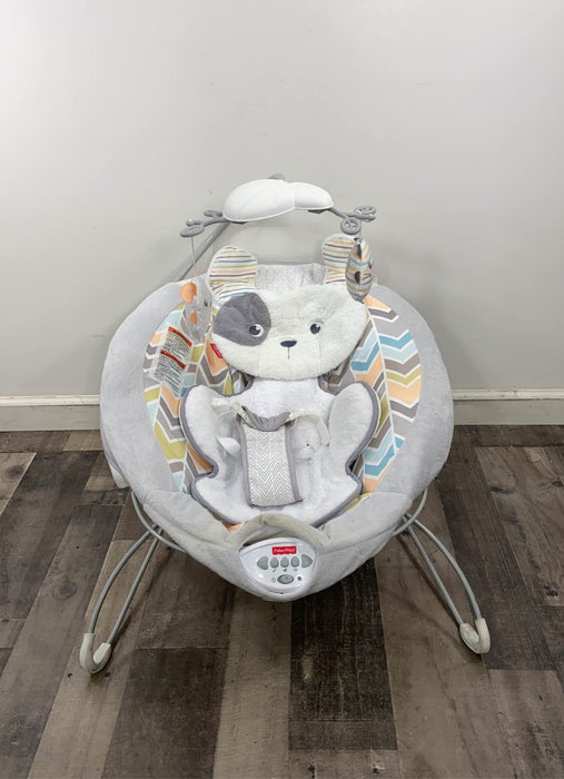 used Fisher Price Deluxe Bouncer