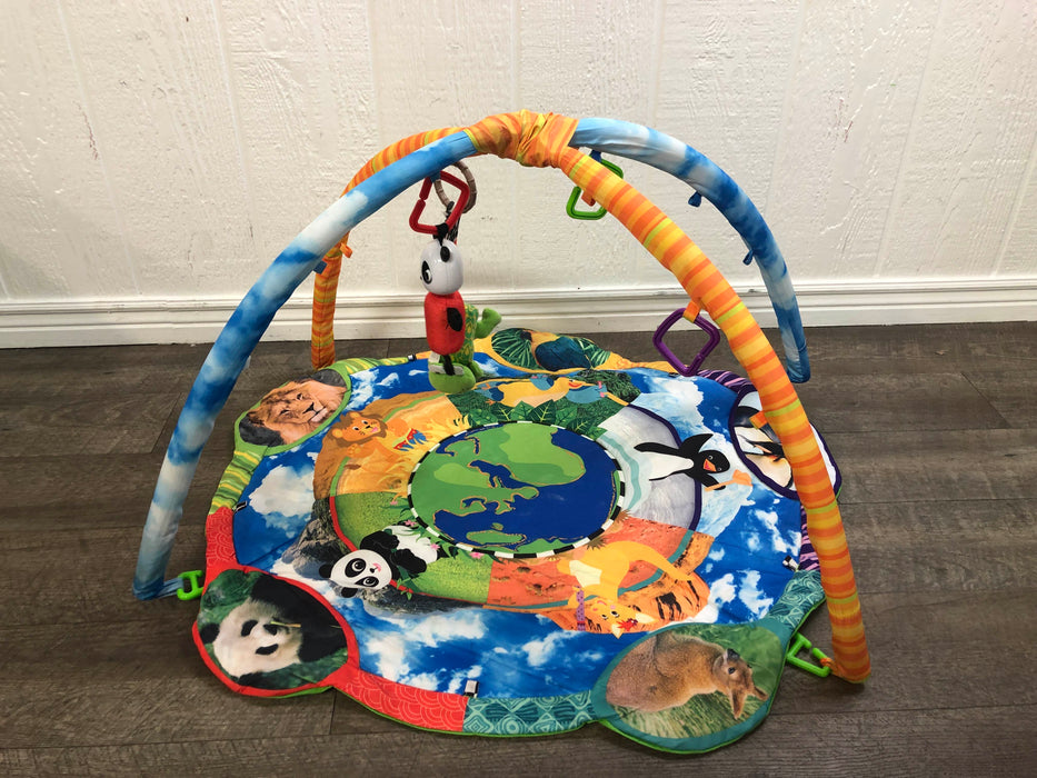 used Baby Einstein Play Gym