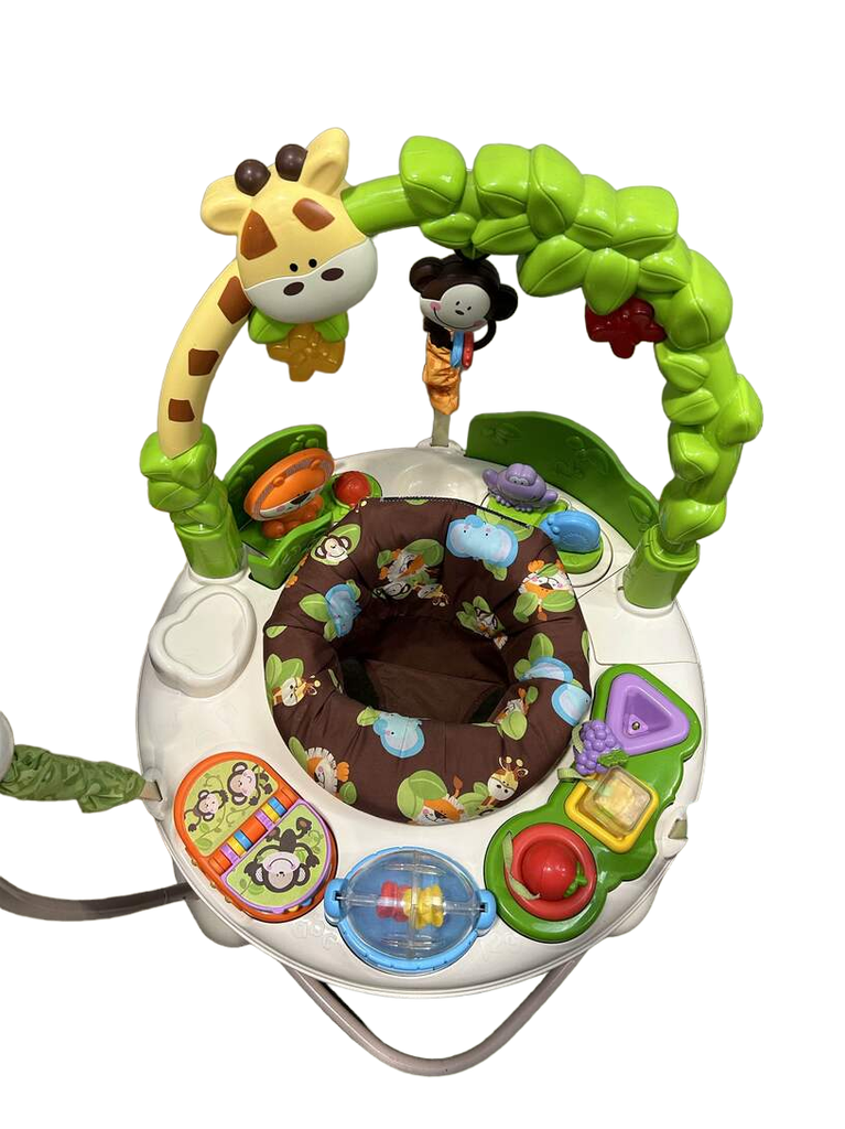 Fisher Price Go Wild Jumperoo