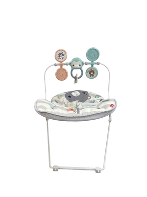 Fisher price deluxe bouncer top target