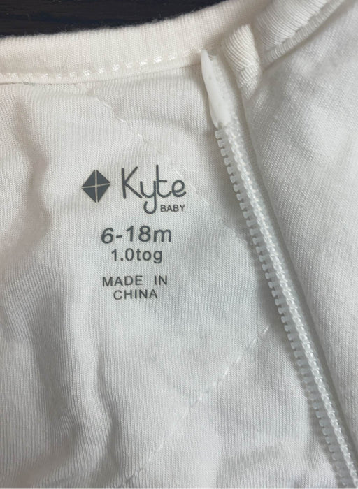 Shop Kyte Baby Sleep Bag, Medium(18-30 pounds), Cloud at GoodBuy Gear