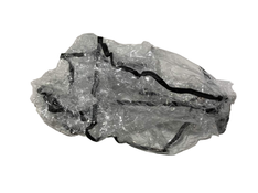 secondhand Mockingbird Rain Cover