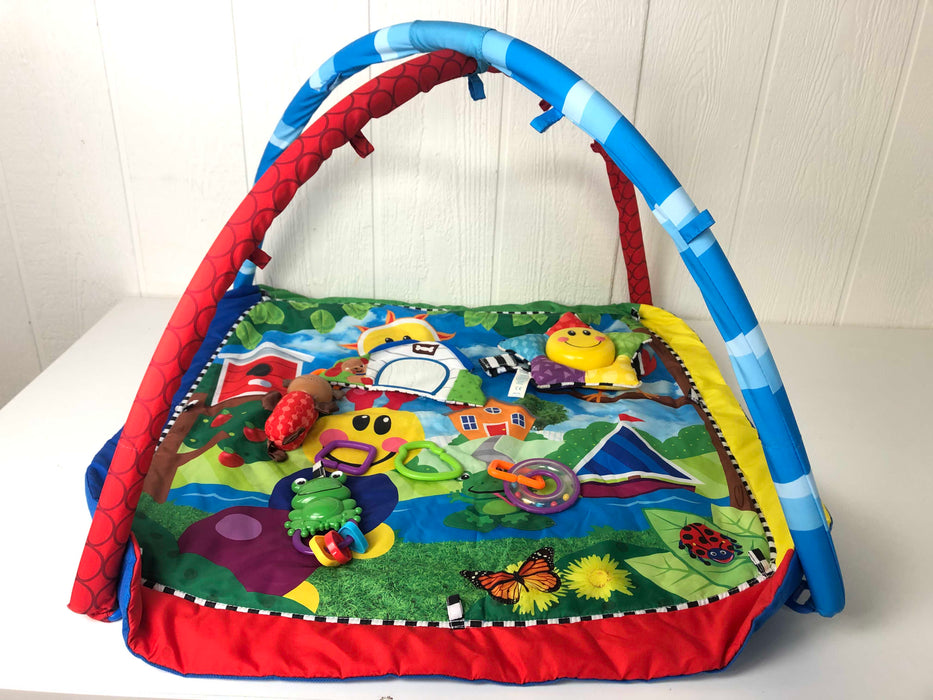 used Baby Einstein Play Gym, Caterpillar And Friends