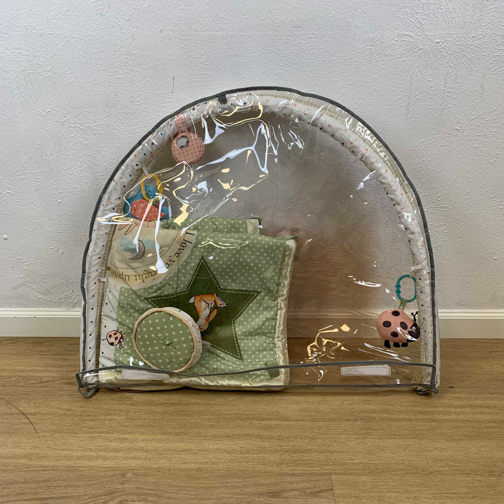 Kids Preferred Guess How Much I Love You Activity Gym