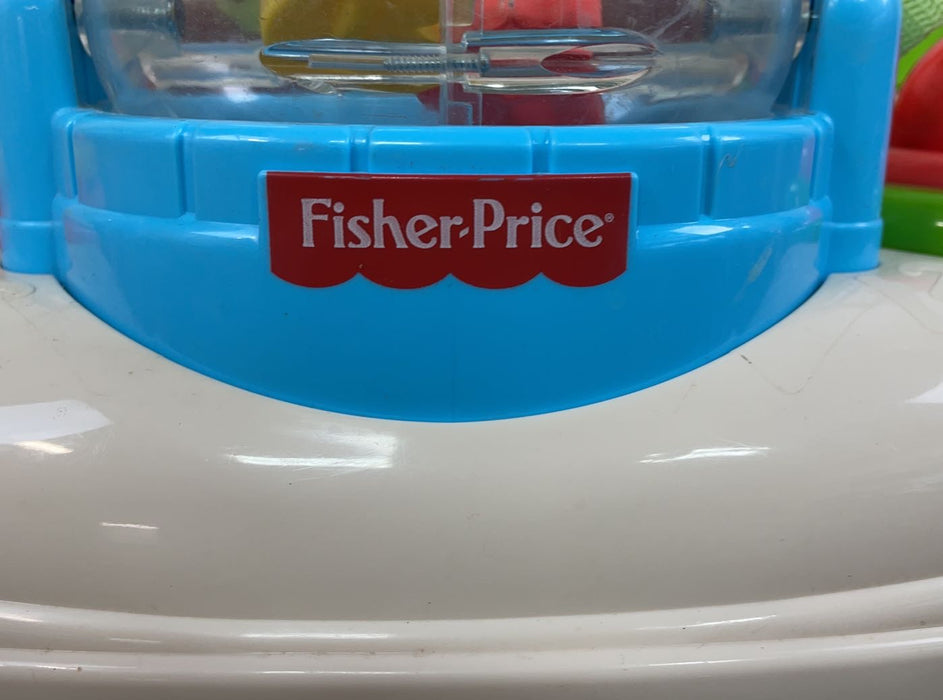 used Fisher Price Go Wild Jumperoo