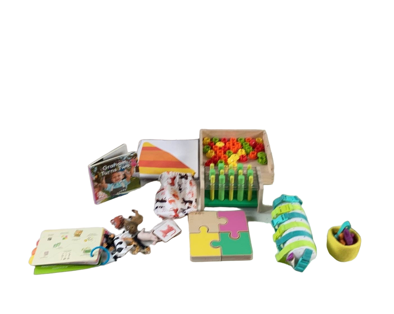Lovevery The Companion Play Kit