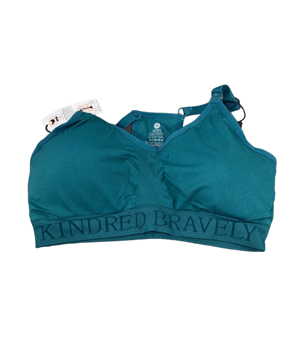 Shop Kindred Bravely Sublime Nursing Sports Bra, Regular, Large, Teal at GoodBuy Gear