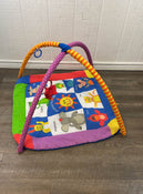 secondhand Baby Einstein Play Gym