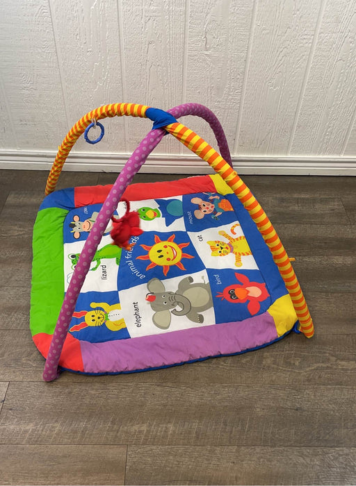 secondhand Baby Einstein Play Gym