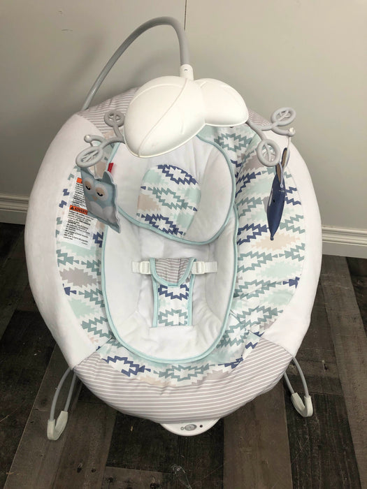 secondhand Fisher Price Deluxe Bouncer