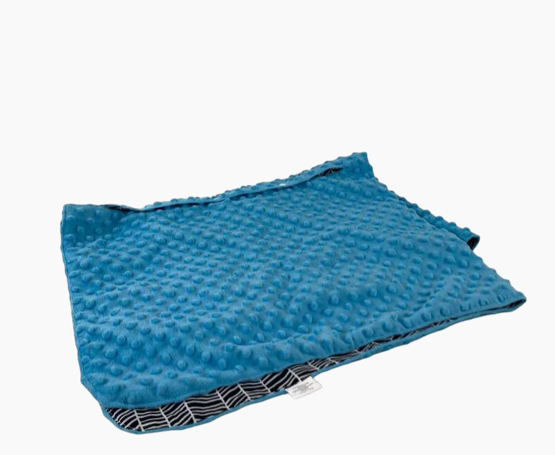 used Kids N’ Such Peekaboo Car Seat Canopy