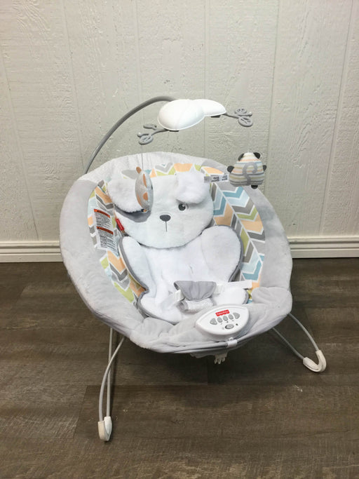 used Fisher Price Deluxe Bouncer