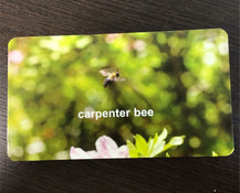 secondhand Flash Of Brilliance Flash Cards