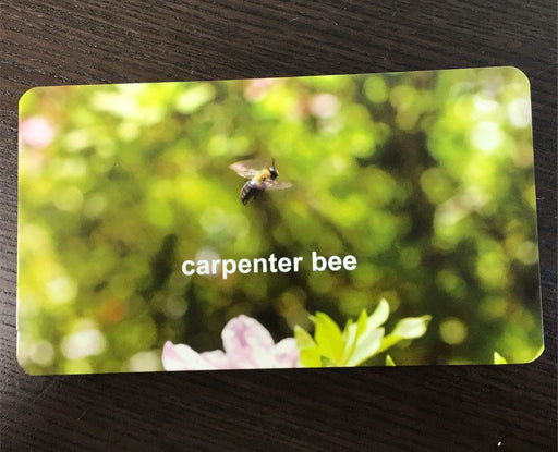 secondhand Flash Of Brilliance Flash Cards