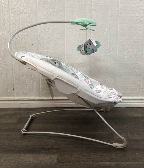 used Fisher Price Deluxe Bouncer