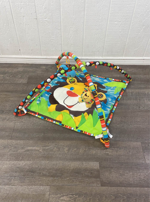 used Infantino Lil Lion's Happy Hangout Gym