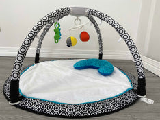 secondhand Fisher Price Jonathan Adler Sensory Gym