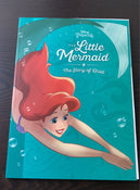 used Disney Princess Deluxe Picture Book Collection