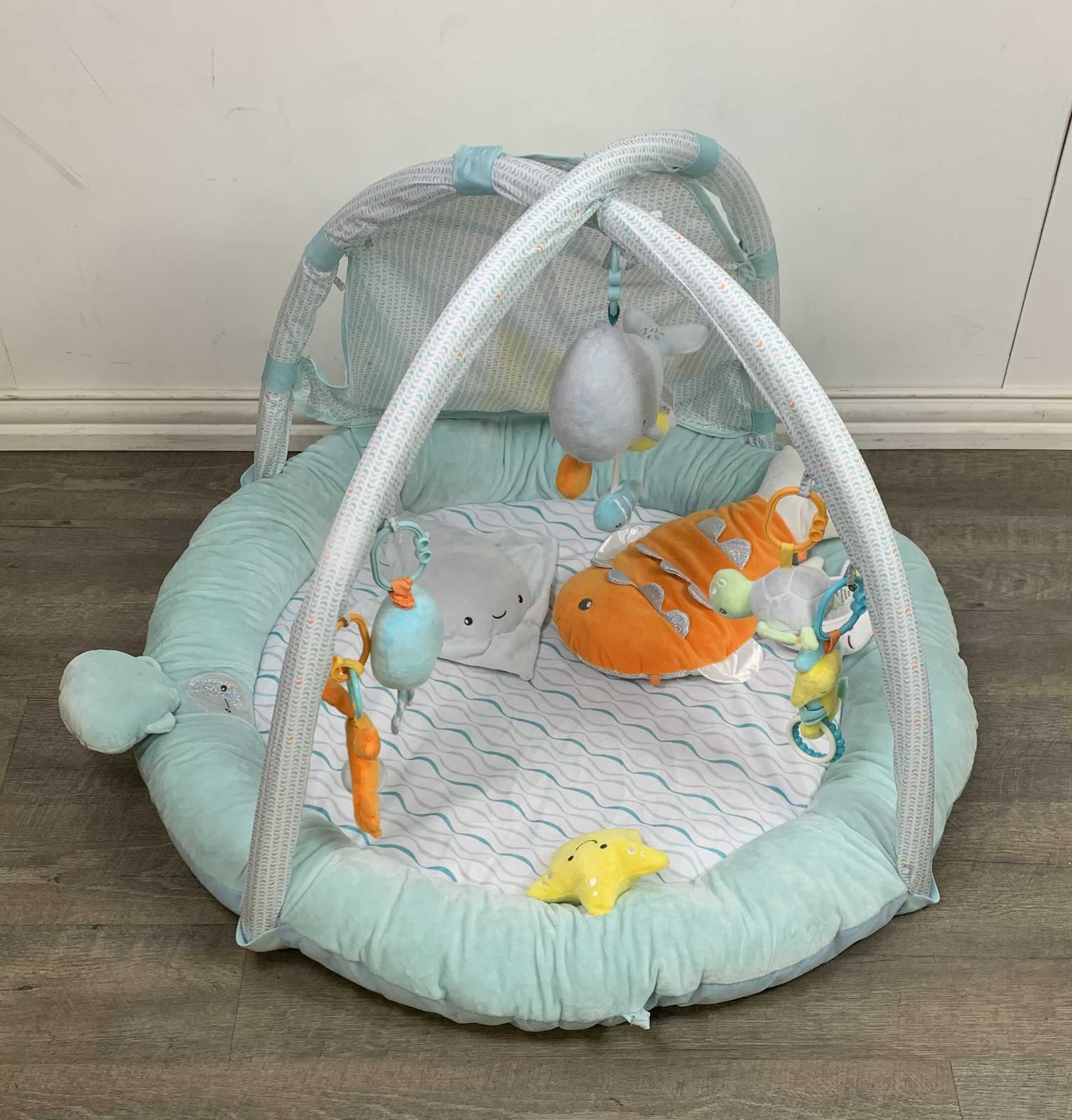 Carter's hot sale play gym