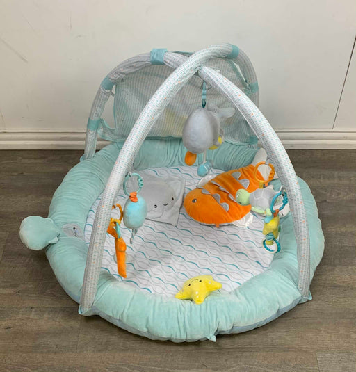 used Baby Gym