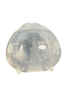 Shop Haakaa Milk Collectors, 2 Pack at GoodBuy Gear