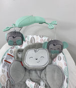 used Fisher Price Deluxe Bouncer