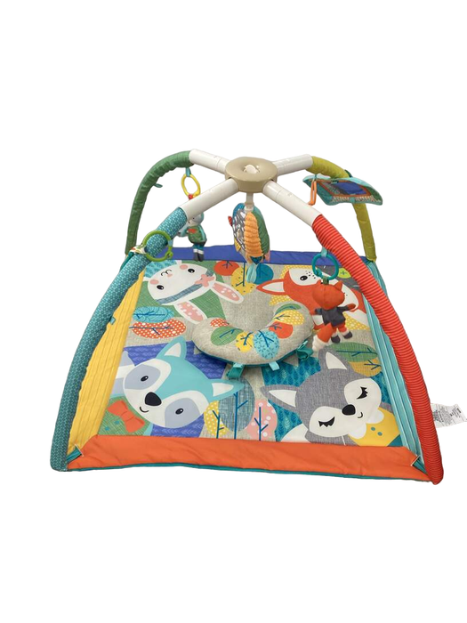 Shop Infantino Take & Play Activity Gym at GoodBuy Gear