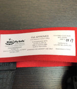 Shop Cares Kids Fly Safe Child Airplane Travel Harness at GoodBuy Gear