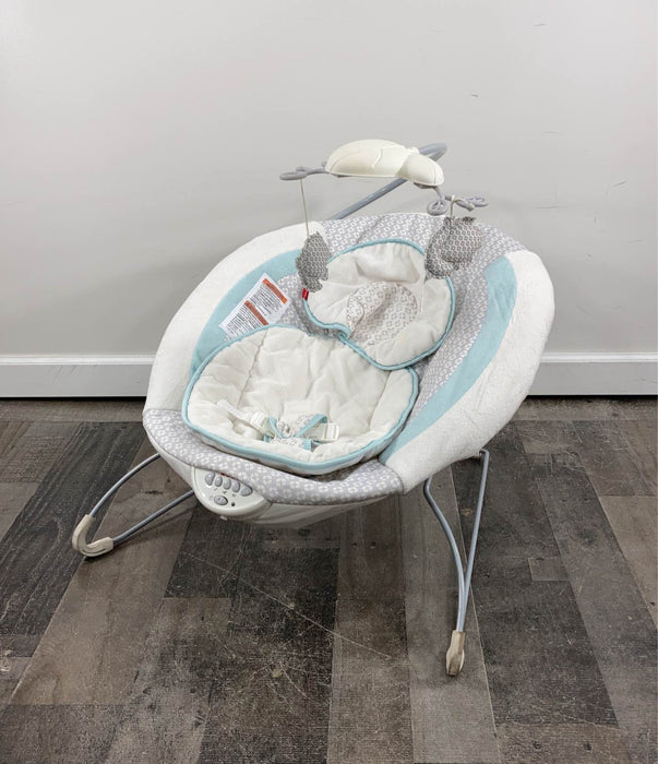 used Fisher Price Deluxe Bouncer