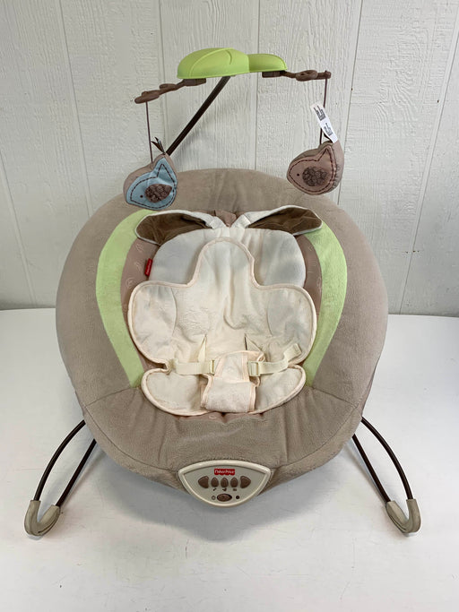 used Fisher Price Deluxe Bouncer