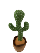 used Miaodam Dancing Cactus