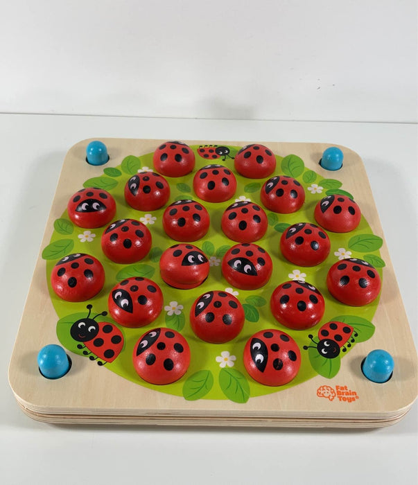 used Fat Brain Toys Ladybug’s Garden Memory Game