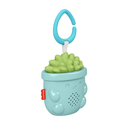 used Fisher Price Soothe & Go Succulent