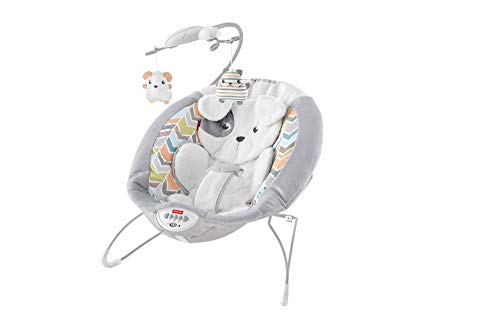 Fisher Price Deluxe Bouncer, My Little Snugapuppy
