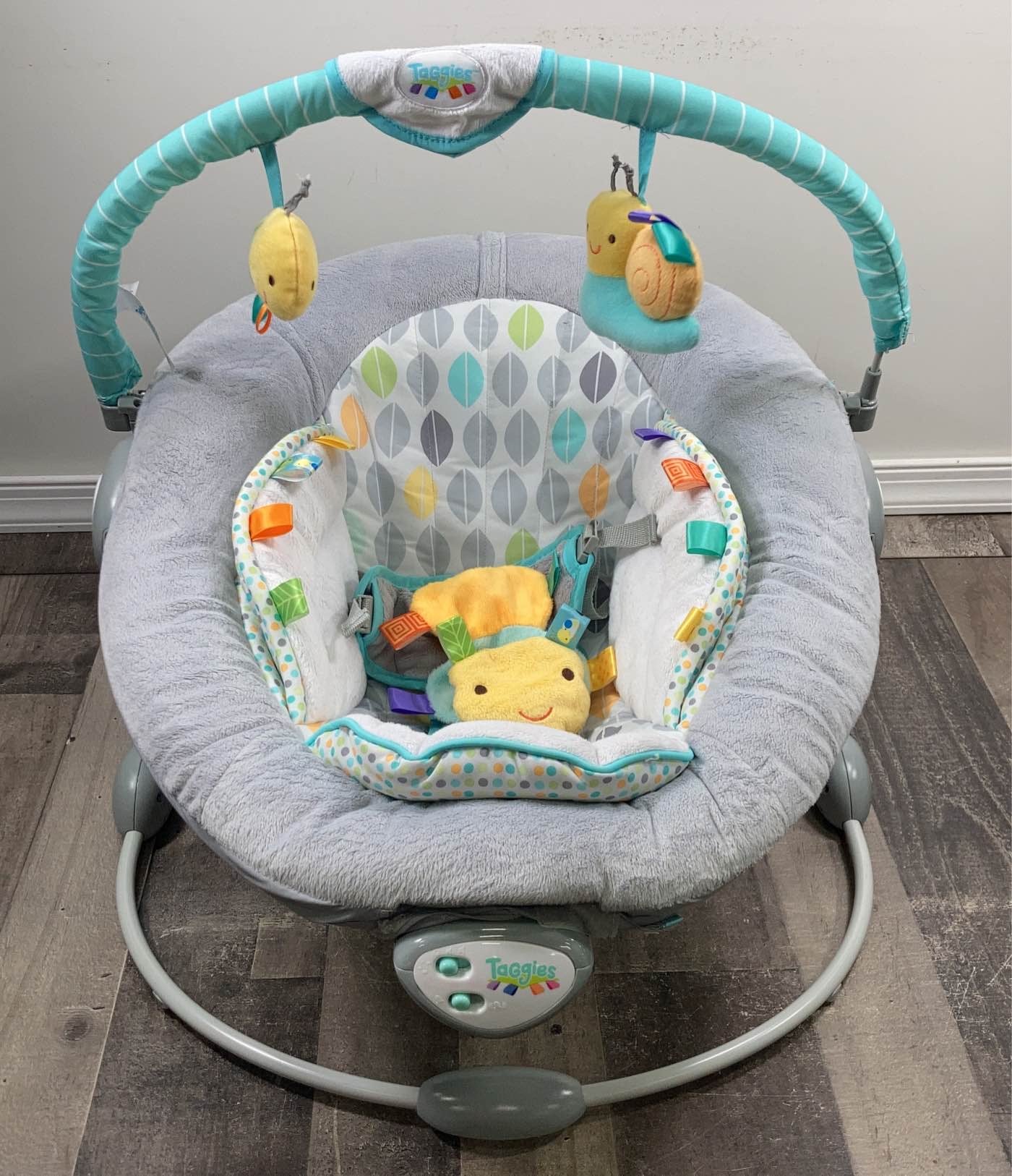 Taggies store bouncy chair