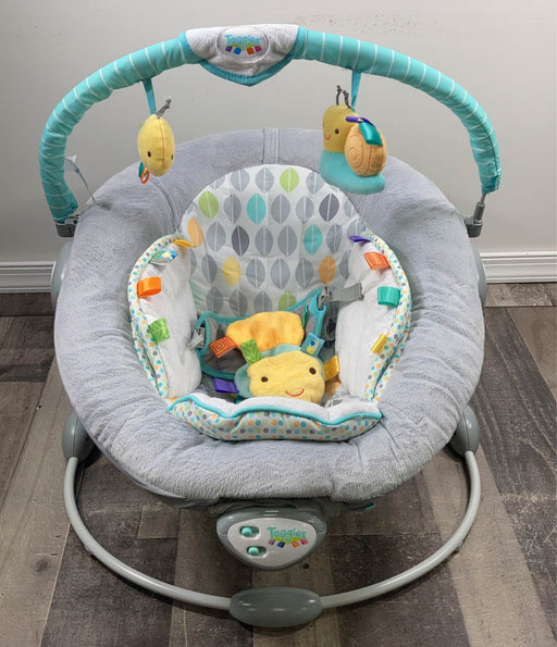 used Taggies Soft N Snug Bouncer