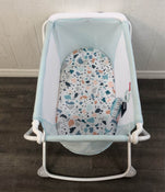Shop Fisher Price Rock With Me Bassinet at GoodBuy Gear