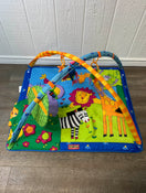 secondhand Tiny Love Gymini Super Deluxe Activity Playmat
