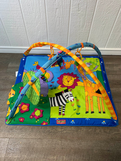 secondhand Tiny Love Gymini Super Deluxe Activity Playmat