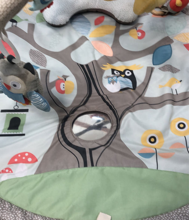 secondhand Skip Hop Treetop Friends Activity Gym