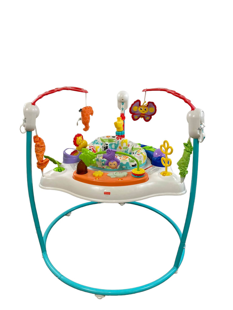 Fisher Price Jumperoo Activity Center, Animal Wonders
